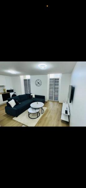 Appartement t2 en plein cœur du centre ville